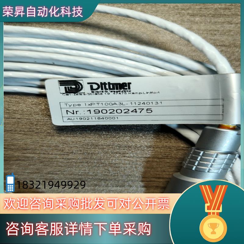 现货德国Dlttmer 1xPT100A3L-11240131