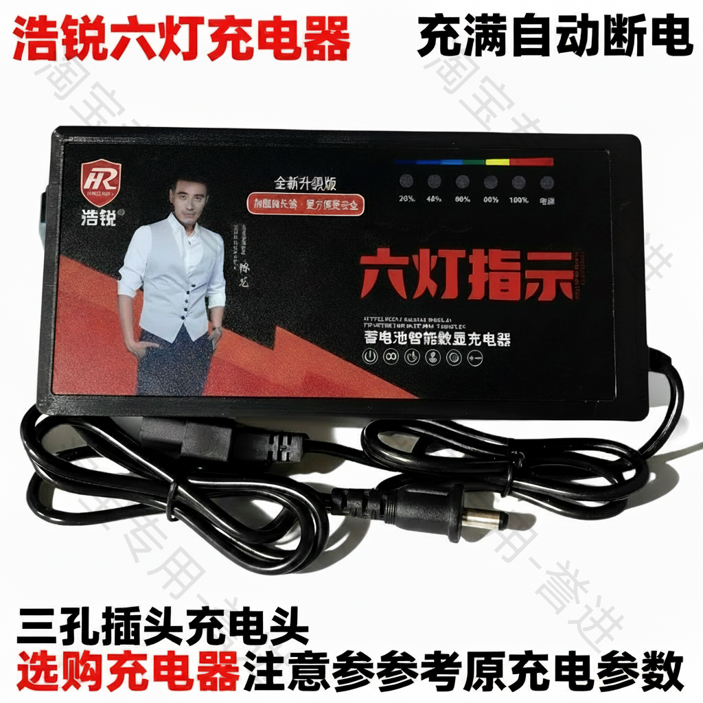 浩锐六灯自动关机电动车充电器