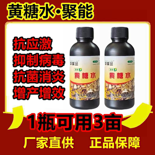 正品黄糖水产养殖五黄八黄抗菌消炎保肝虾蟹塘增免疫黄糖水鱼虾蟹