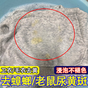 卫衣服漂白剂去渍去黄增白蟑螂老鼠尿黄斑渍去除剂发黄氧化彩漂ly