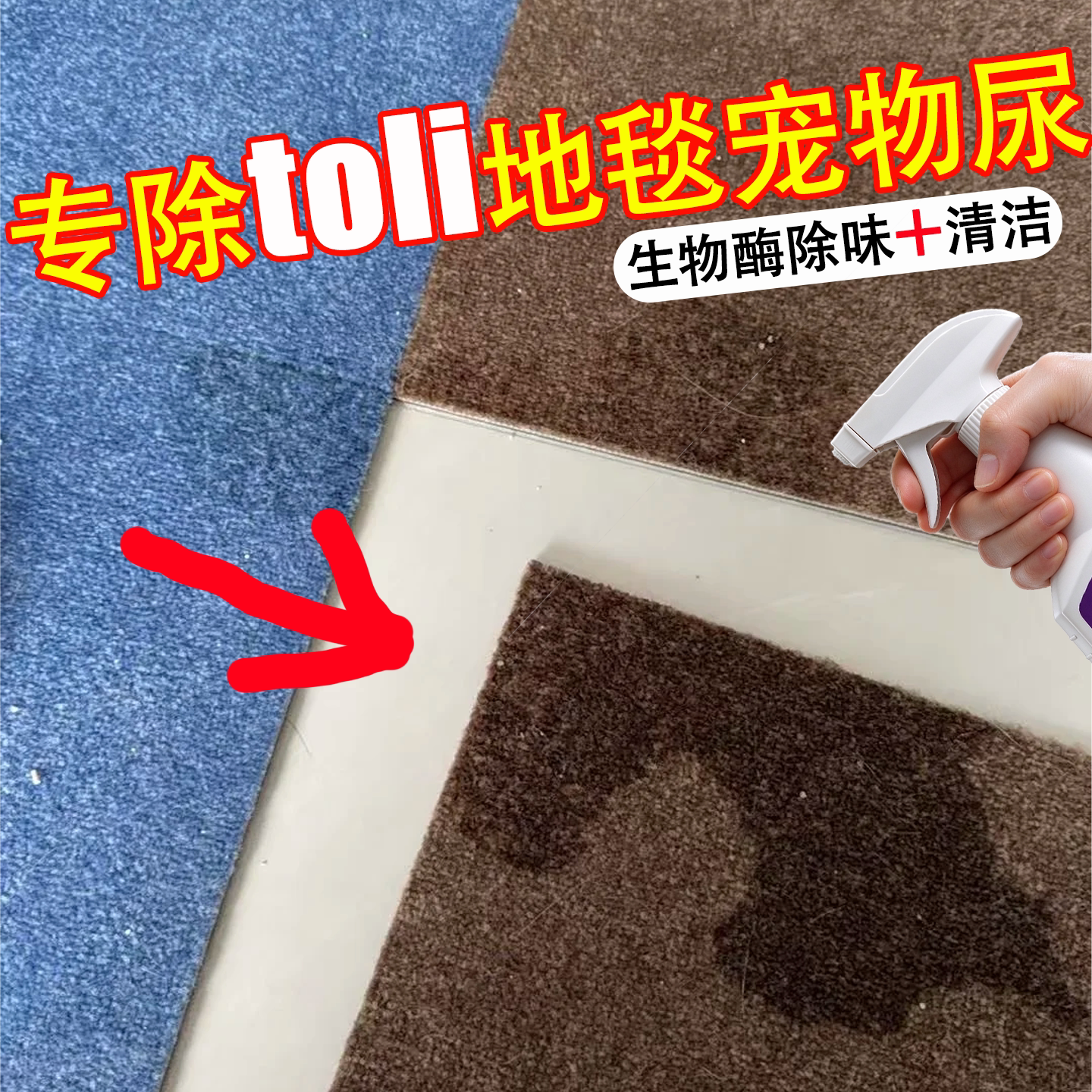 toli地毯尿渍专用清洁剂免水洗除猫狗尿除味便渍去黄地毯清洗剂c1