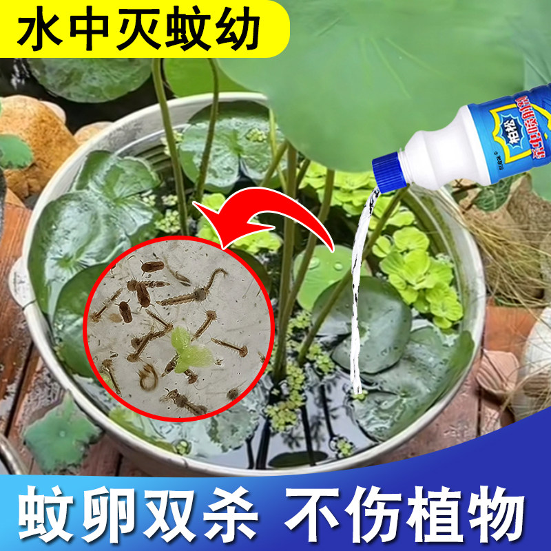 水养花卉灭孑孓幼虫药非无毒水池蚊子幼虫杀虫剂水培植物杀虫剂pt