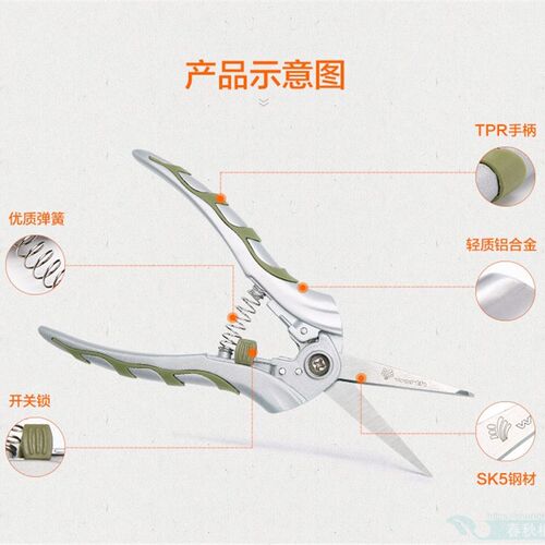 沃施worth 修枝剪刀花枝剪果枝树枝盆栽修枝工具园艺尖头剪子1083