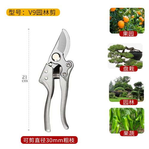 SK5粗枝剪园林园艺修枝剪修花枝剪果树剪花卉稀果剪采摘水果神器