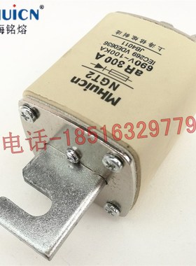 NGT2铭熔陶瓷保险半导体保r护快速熔断体690V aR355A400A紫铜厚件