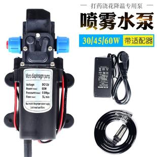 隔膜水泵12v园艺微型增压自吸泵自动高压喷雾浇花100W自吸泵