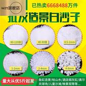 150目300目白沙子颗粒酒店细沙居室过滤沙石英砂净水超细200hh