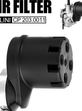化油器空气滤清器 Polini CP 203.0011 air filter carburetor