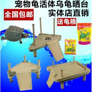 宠物龟活体乌龟晒台晒背台浮岛爬坡水龟苗地图龟用晒台养龟缸造景