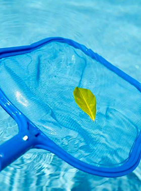 游泳池打捞网兜捞水面树叶杂物pool leaf skimmer net浅水清洁网