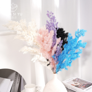 蓬莱松永生花干花仿真花鲜花花束装饰搭配白色特大号植物花艺材料
