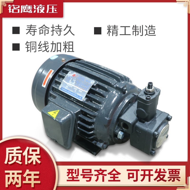 油泵电机组VP20叶片泵总成液压站专用配件0.75-1.5kw内轴380v三相