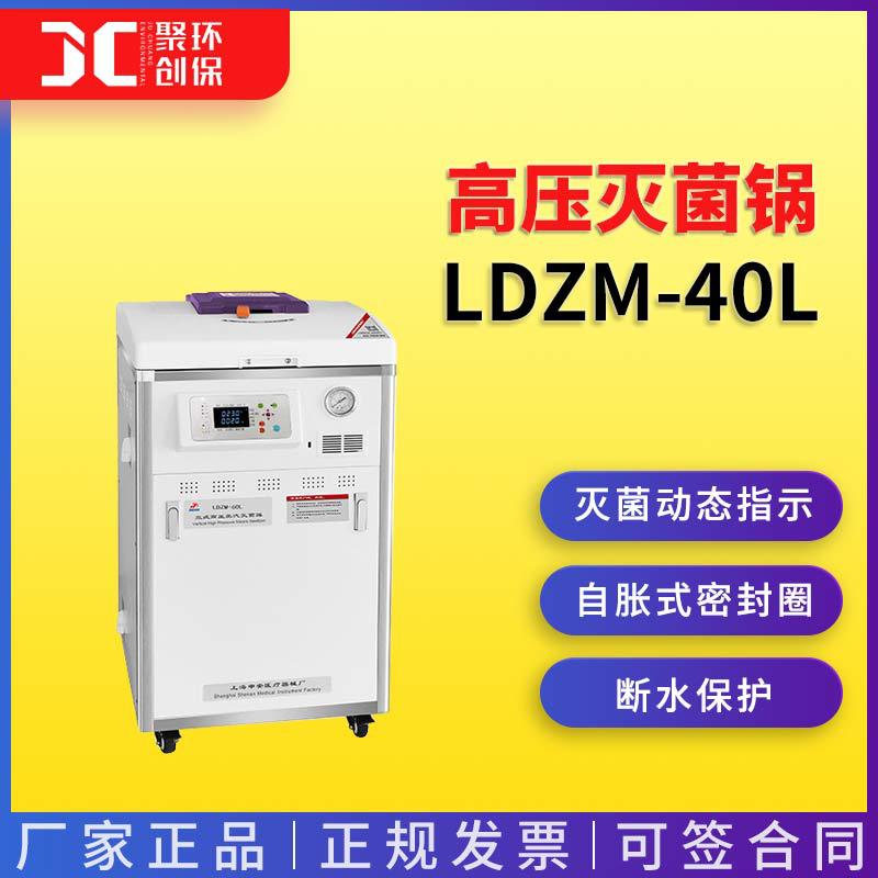 上海申安LDZM-40L高压灭菌锅(标准型)  高压灭菌器