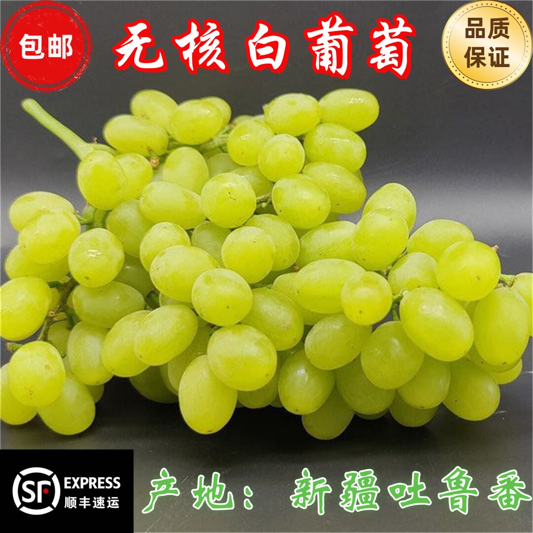 新疆吐鲁番无核白葡萄包邮