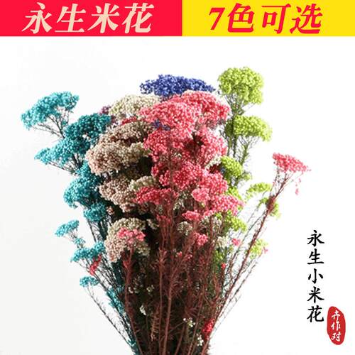 干花永生米花花束风干花真花家居民宿装饰DIY创意春节插花