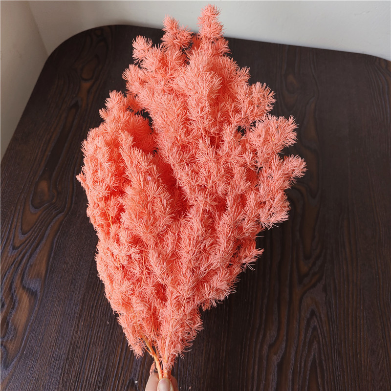 云南源头保鲜蓬莱松永生花蓬莱松干花 家居装饰花卉