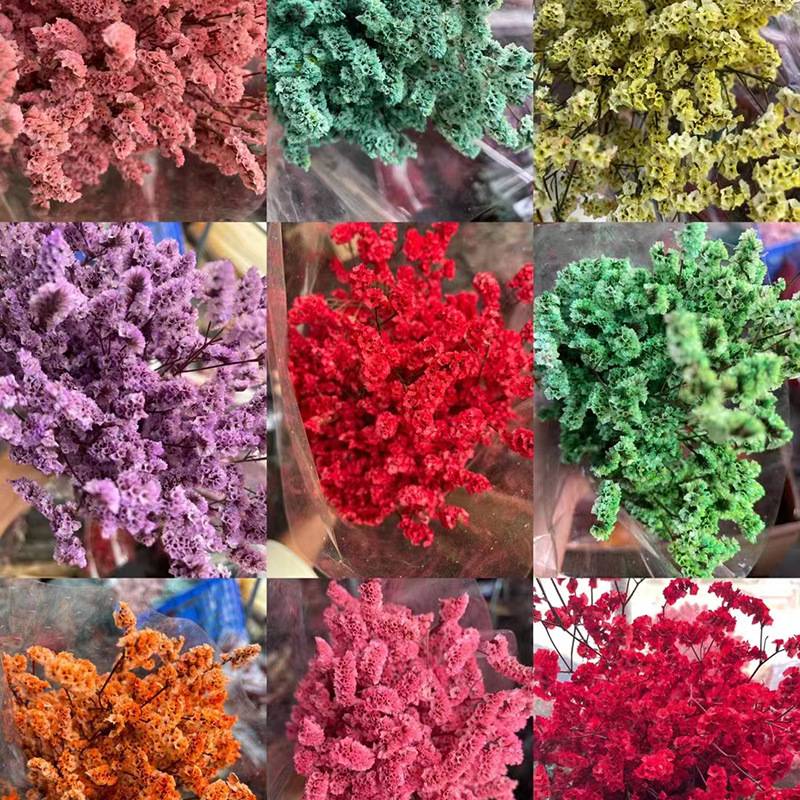 【永生水晶草】云南干花永生花 花束家居装饰插花摄影道具