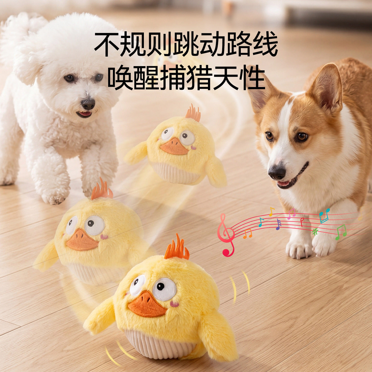 小狗狗玩具电动跳跳球发图片