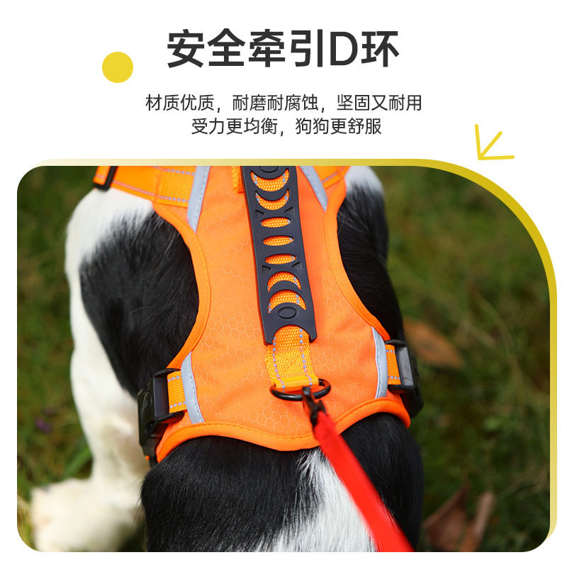 狗狗牵引绳防爆冲反光背图片