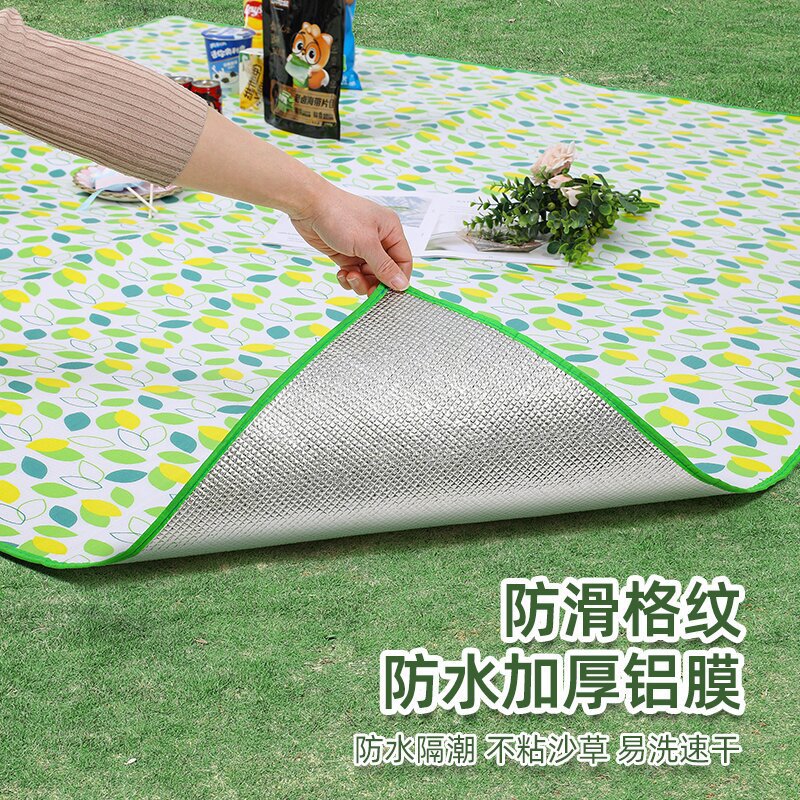小飞叶户外野餐垫网红加