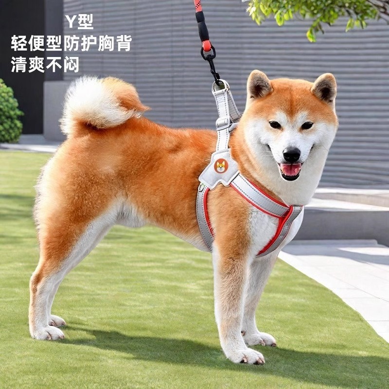 Y型胸背带狗狗牵引绳背心图片