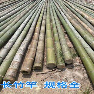 竹竿3米4米5米6米长粗大毛竹竹竿子晾衣杆子工地用搭架毛竹杆竹子