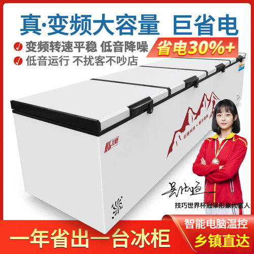 商用大容量冰柜冷冻单温卧式