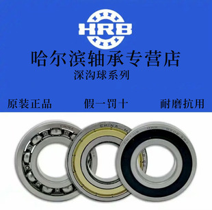 6303 6302 6304 6305 哈尔滨轴承6300 2RZ 6301