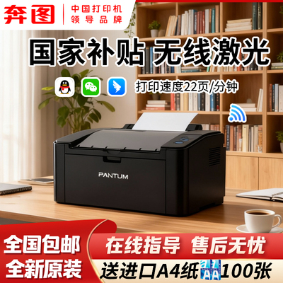 政府补贴20%奔图P2509NW