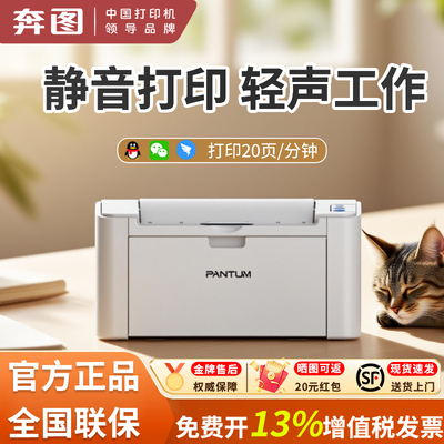 静音款奔图P2200W黑白激光