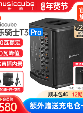 音乐骑士旗舰店T3pro户外乐器音响直播k歌路演电吹管萨克斯音箱