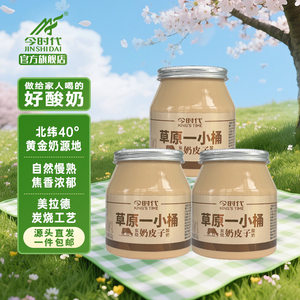 今时代草原一小桶酸奶奶皮子酸奶420g*3桶益生乳酸菌顺丰
