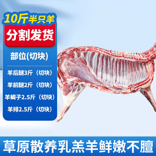 新鲜现杀半祇羊内蒙古羊肉10斤羊排羊蝎子整祇羊腿烧烤食材全羊