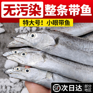 新鲜小眼带鱼鲜活整条刀鱼旗舰店冷冻海捕带鱼雷达网带非带鱼段
