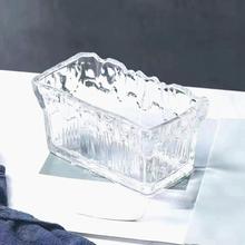 郁金香花盆 专用正方形长方形玻璃花瓶透明绿萝睡莲水养花盆器皿