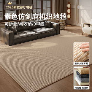 地毯客厅2025防猫抓卧室床边免打理侘寂风防水轻奢高级剑麻纹地垫