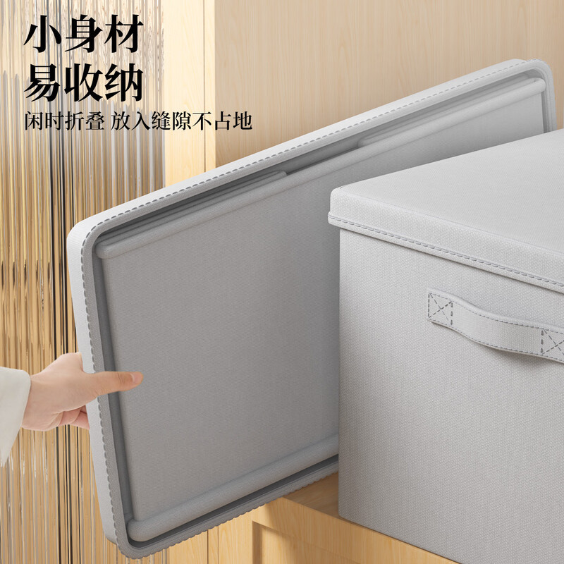 衣服收纳箱带盖衣柜放衣物裤子分层袜子内裤内衣整理盒储物筐