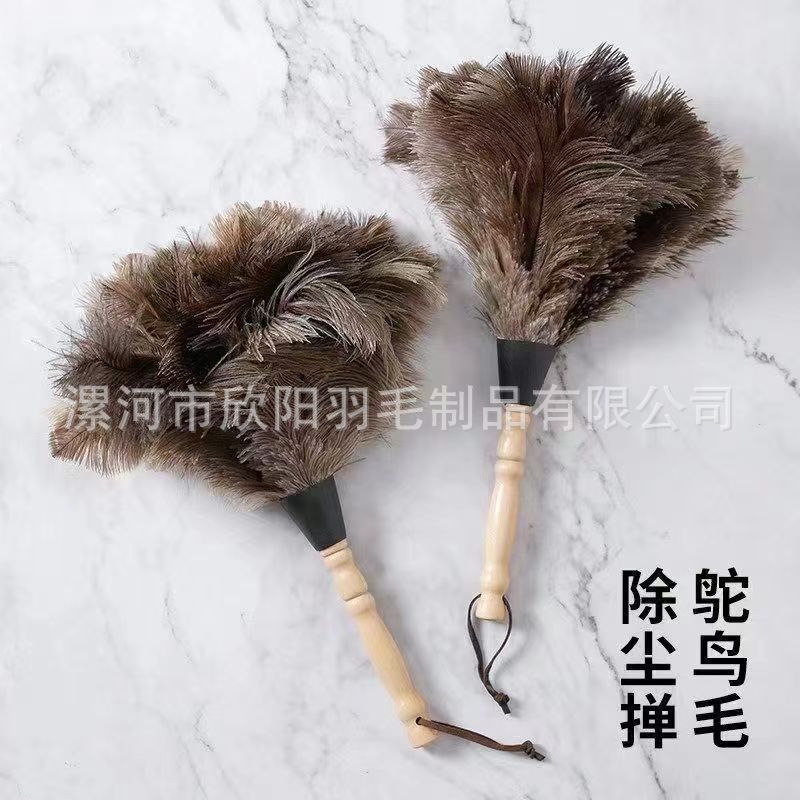 鸡毛掸子家用打扫卫生不