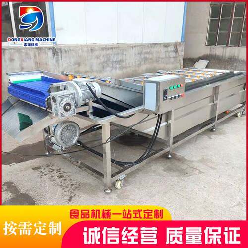 全自动喷淋式清洗机果蔬气泡蔬菜清洗机净菜清洗加工成套设备