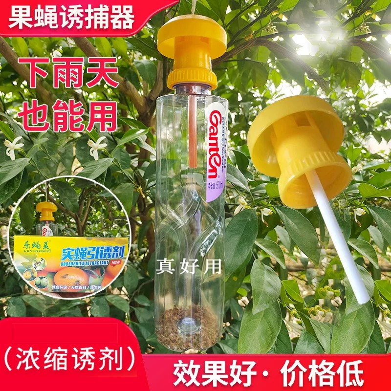 果蝇诱捕器诱虫引诱灭虫诱捕药水