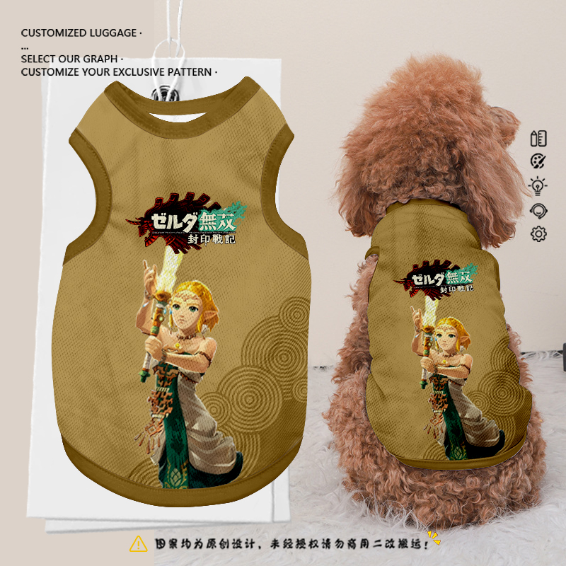 塞尔达无双封印战纪游戏宠物衣服