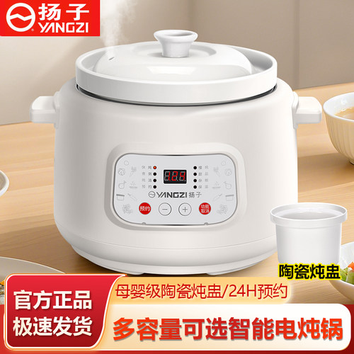 电炖锅家用陶瓷全自动炖汤煲汤锅