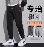 Мужские демисезонные штаны для отдыха, утепленный комплект, коллекция 2023, большой размер