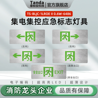 Tanda泰和安疏散壁挂6486标志灯集电集控消防应急指示灯吊装6476