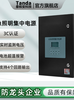 泰和安新国标消防应急照明集中电源箱DC36V控制疏散指示灯TS6330