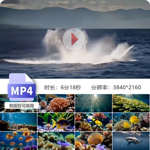 高清海洋生物大合集鱼群珊瑚水母虎鲨鲸海底世界景色视频素材