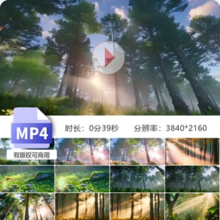 高清唯美森林逆光云雾大自然风景丁达尔梦幻树荫清晨意境绿色公园