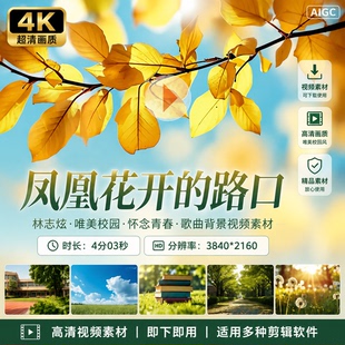 高清凤凰花开的路口林志炫唯美校园怀念青春歌曲背景视频素材