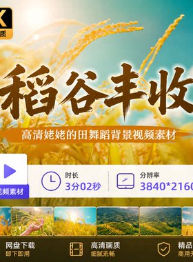 高清姥姥的田舞蹈背景家乡野稻谷丰收秋农业作物山风村下视频素材