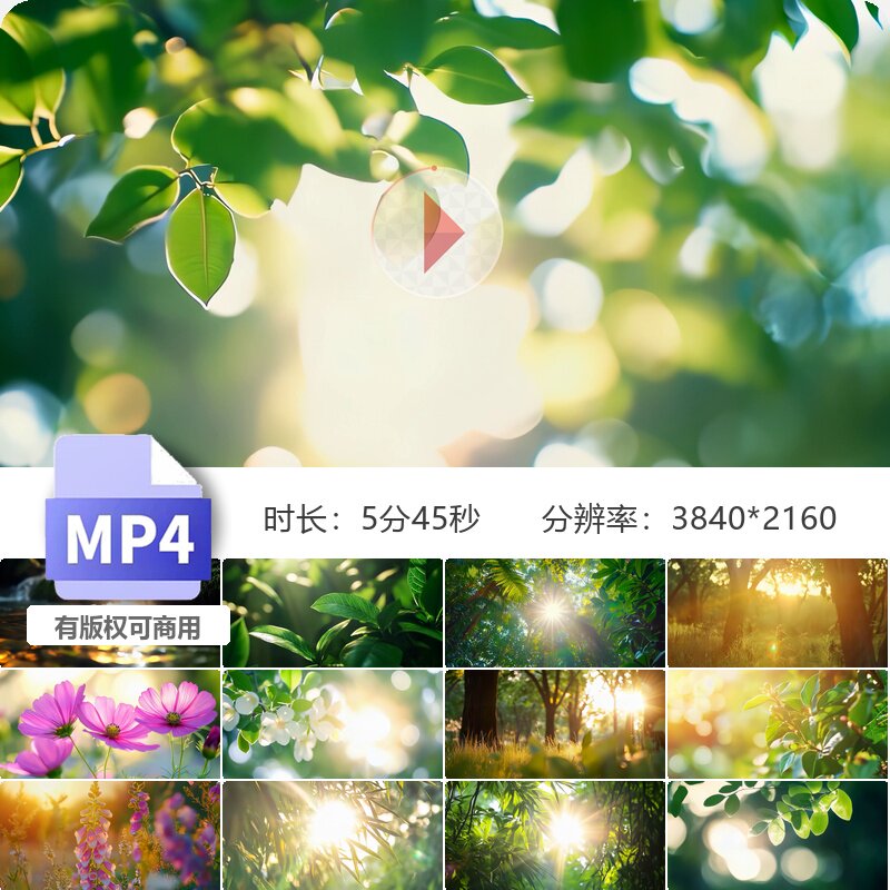 高清绿叶阳光清新自然树花白枝生机纹理室内壁纸背景视频素材